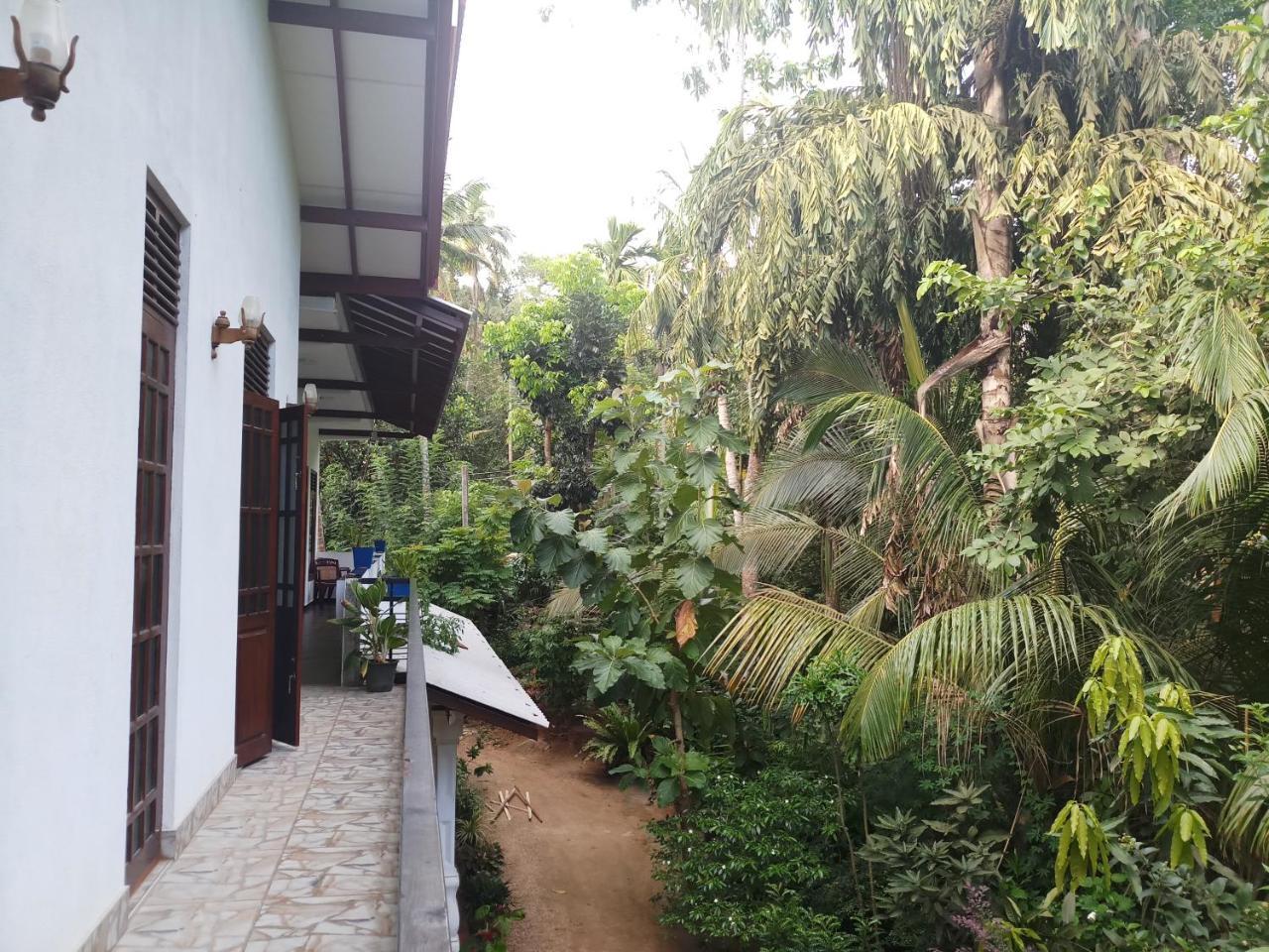 Piumi House Casa de hóspedes Dikwella Exterior foto